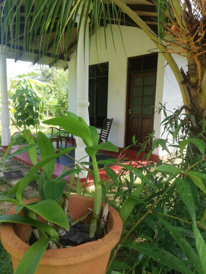 Bay Hill Guest House Тангале Екстериор снимка