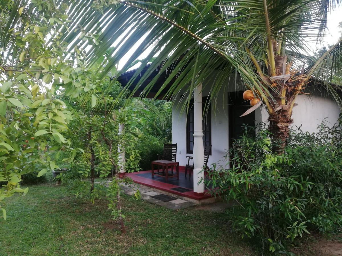 Bay Hill Guest House Тангале Екстериор снимка