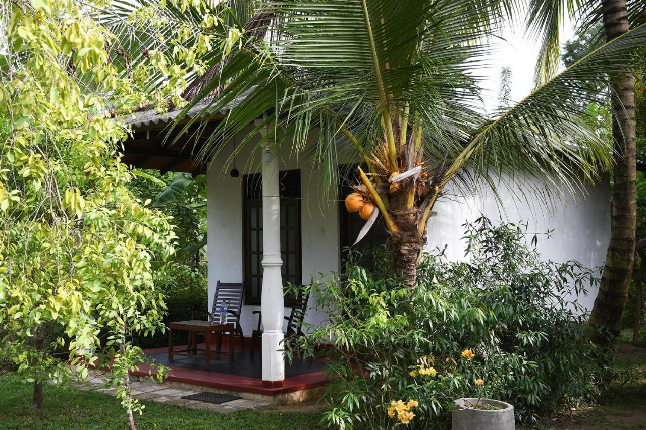 Bay Hill Guest House Тангале Екстериор снимка
