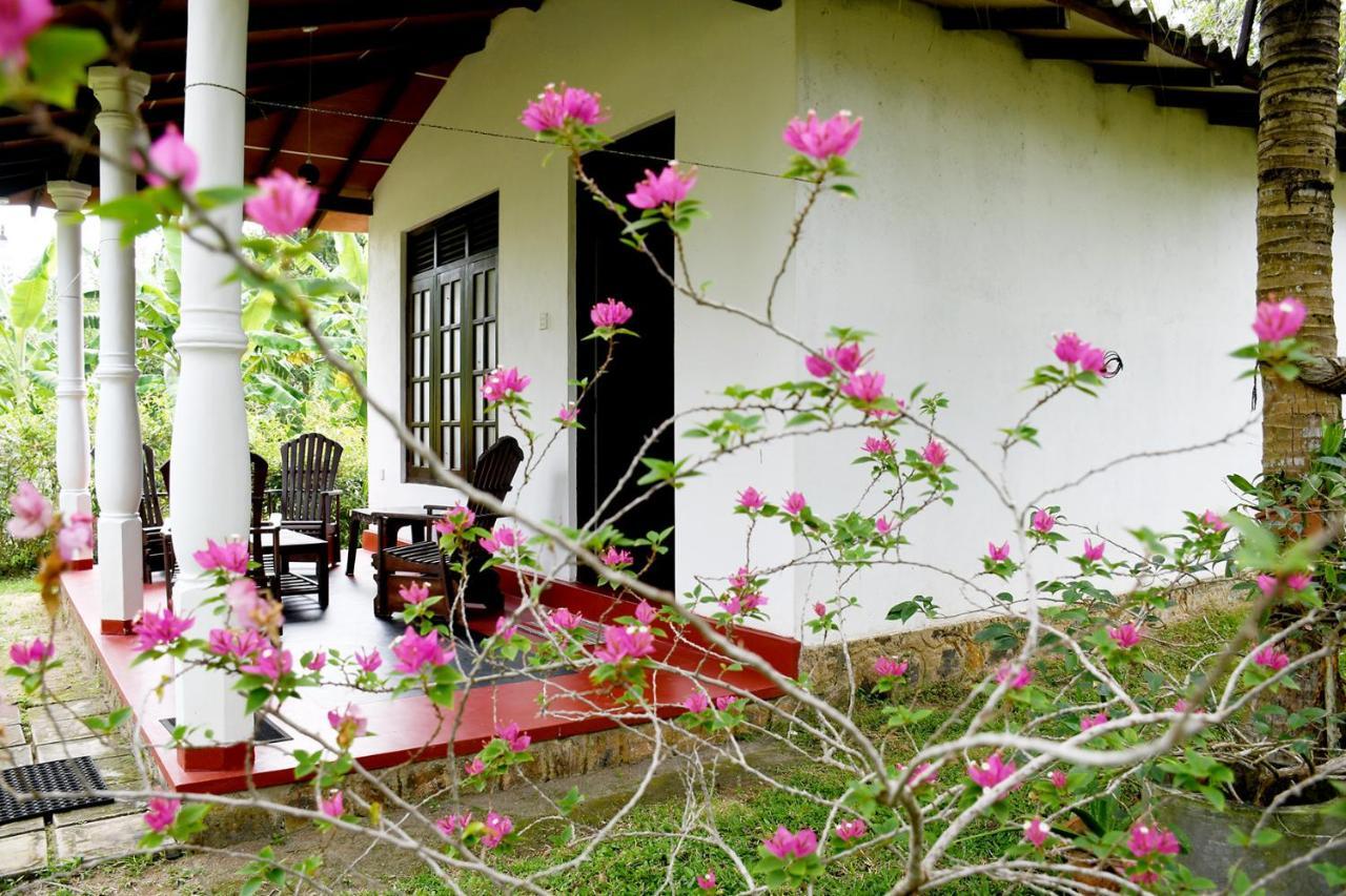 Bay Hill Guest House Тангале Екстериор снимка