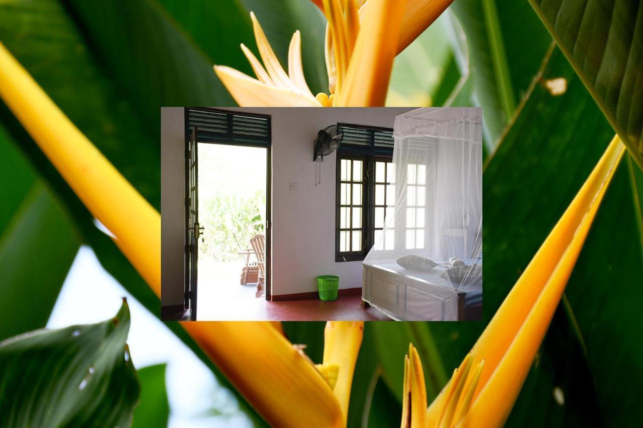 Bay Hill Guest House Тангале Екстериор снимка